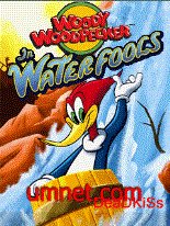 game pic for Woody Woodpecker in Waterfools v2.0
